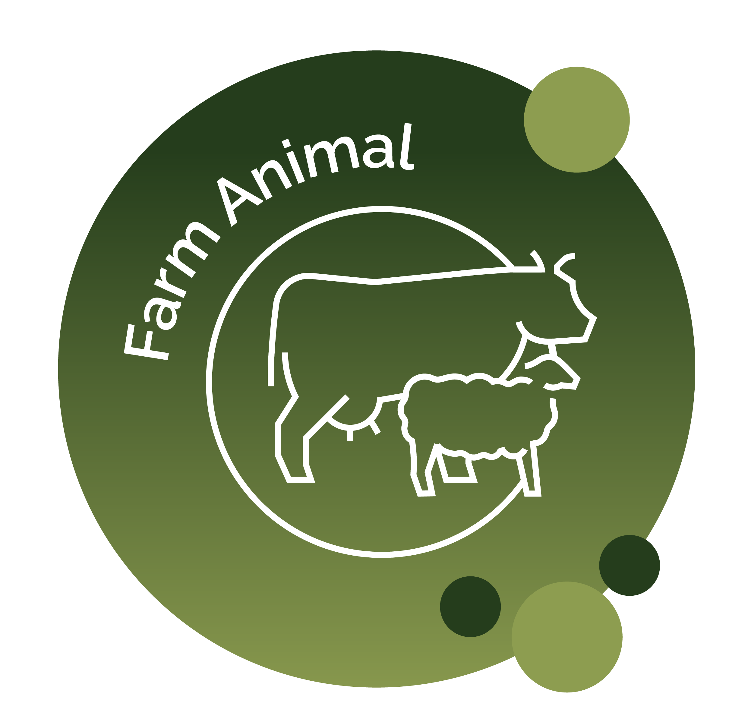 Illustration of cow and sheep