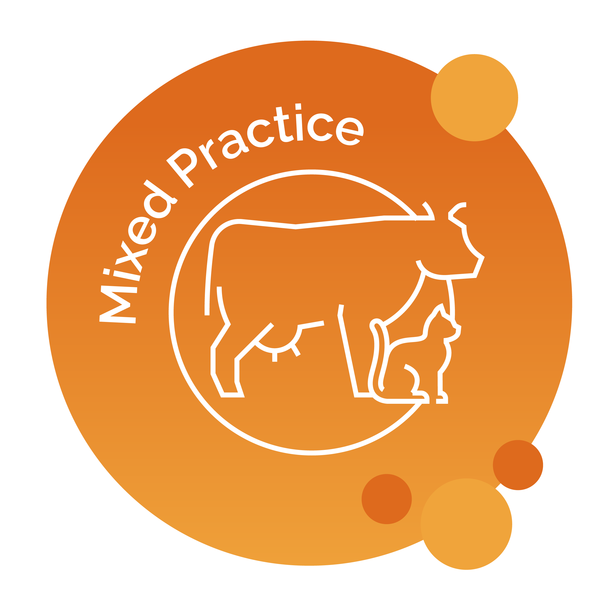 Illustration of cow and cat