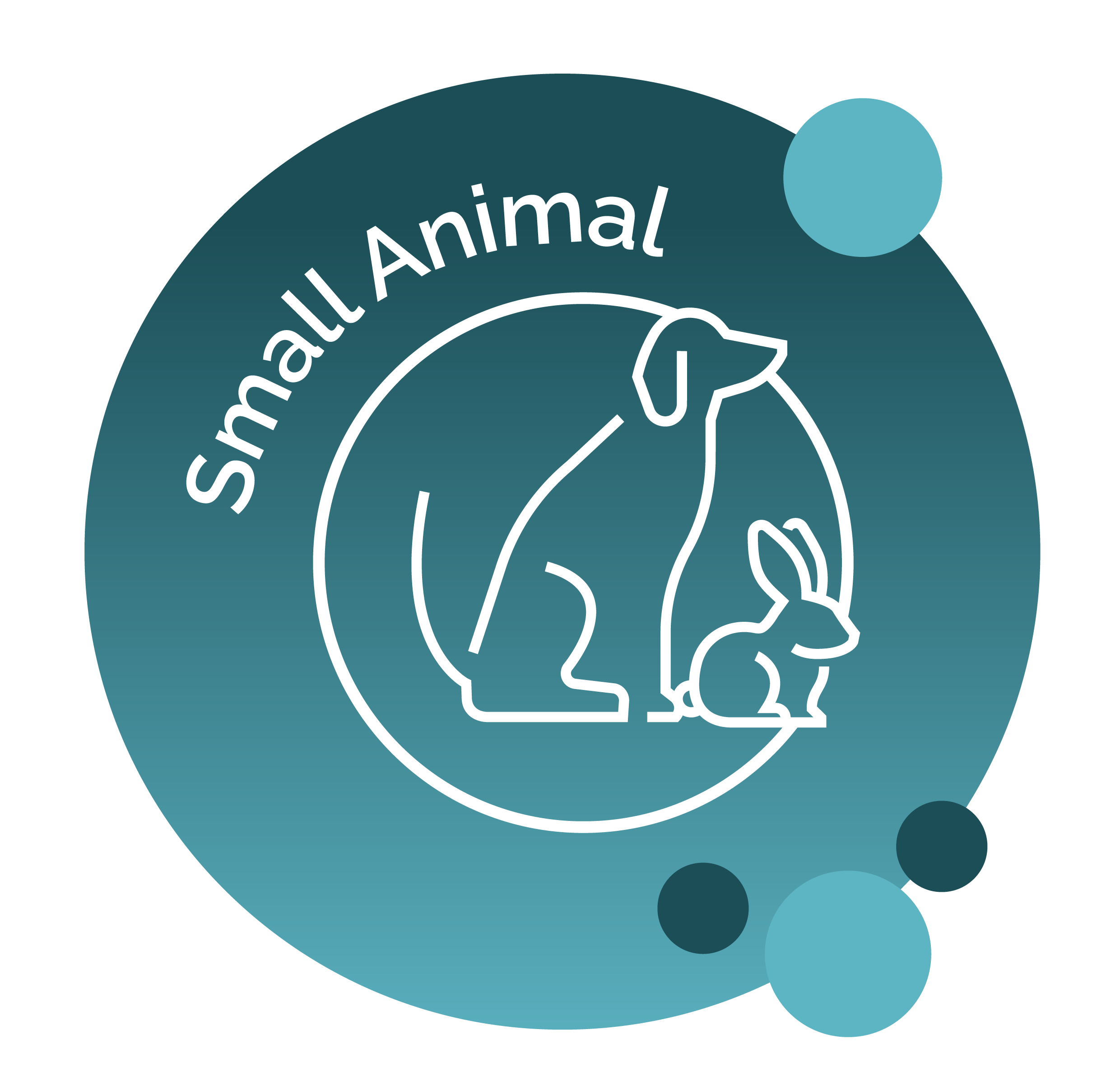 Illustration showing dog and rabbit